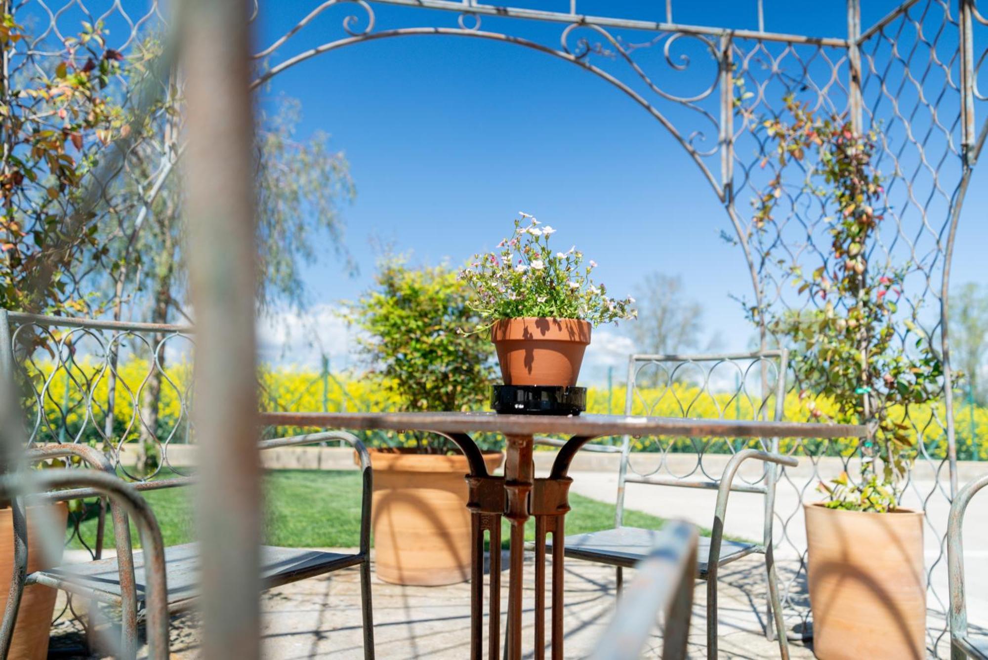 Mas Pla Bed & Breakfast Riudellots de la Selva Dış mekan fotoğraf